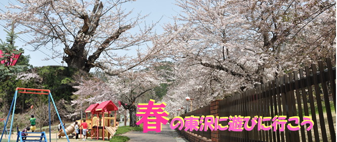 春の東沢に遊びに行こう