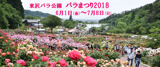 バラまつりブランディング