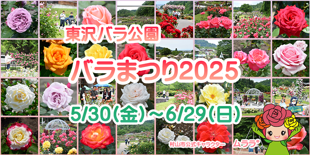 東沢バラ公園バラまつり2025の画像