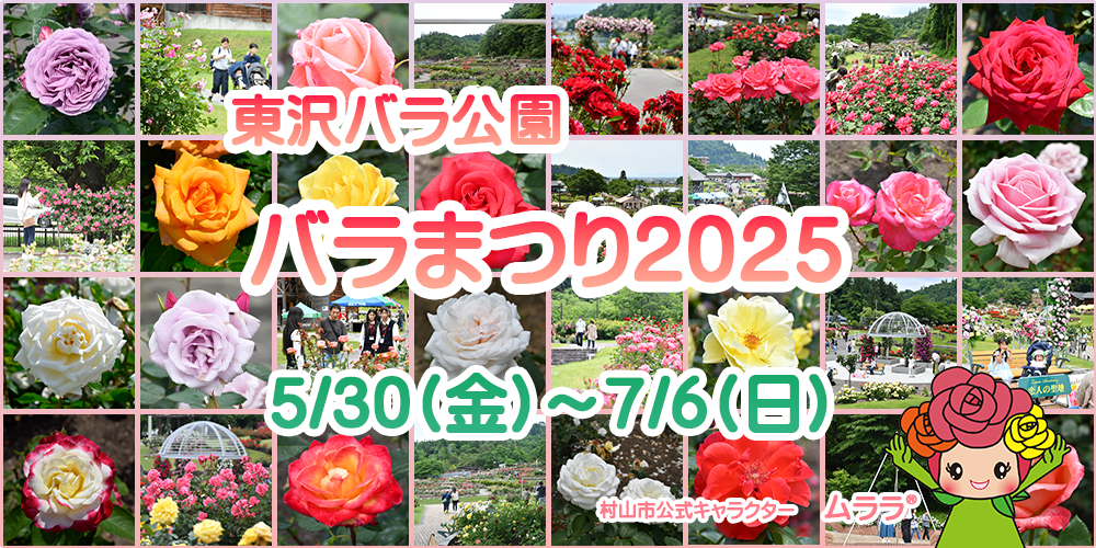 東沢バラ公園バラまつり2025の画像