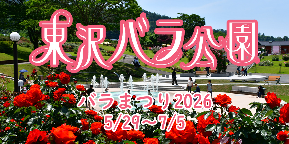 バラまつり2026の画像