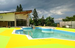 写真　プール全景