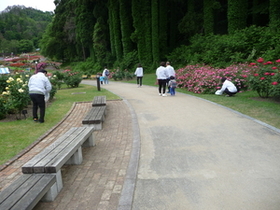 東沢バラ公園クリーンアップ東沢の画像