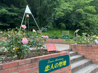 7月5日時点のローズベル付近のバラの開花状況の写真