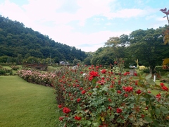 9月17日