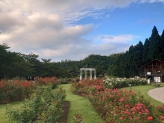 9月17日