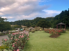 9月17日