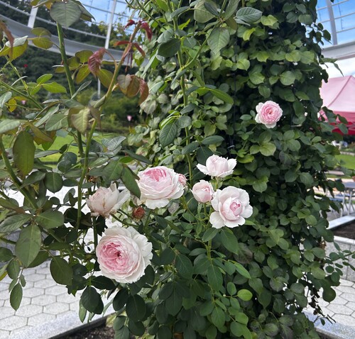 9/24