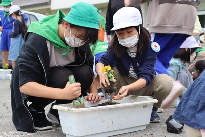 協力してプランターに花を植えています