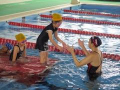 水泳学習3