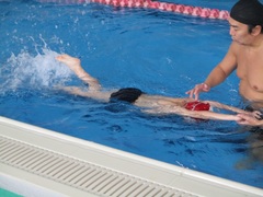 水泳学習4