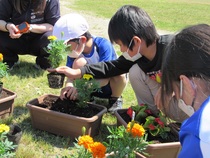 花植え