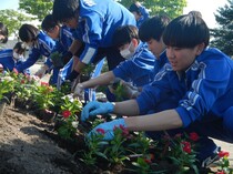 植栽の様子1