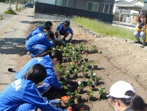 植栽の様子2