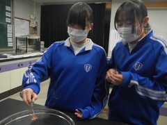 写真 デモンストレーション1