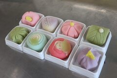写真 体験の様子1