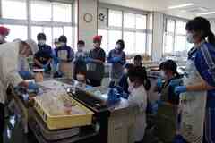 写真 体験の様子5