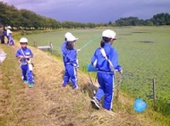 生き物をさがしています