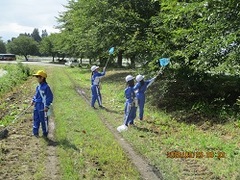 生き物をさがしています