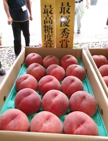 写真　最優秀賞のモモ