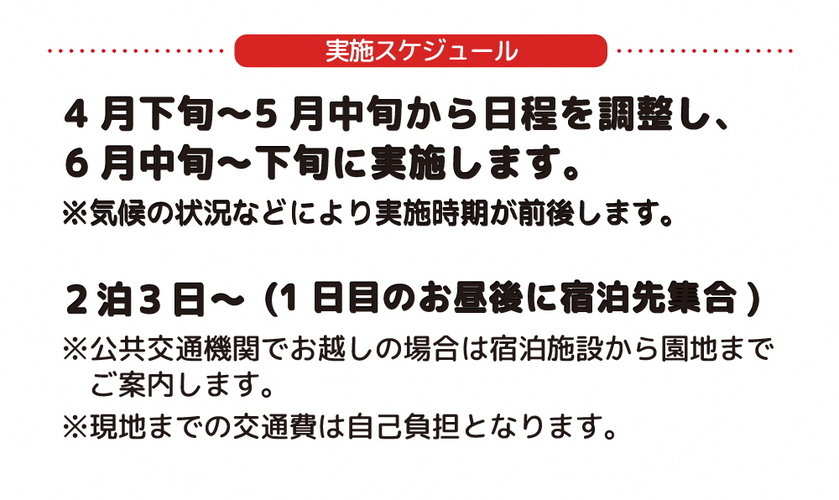 スケジュール