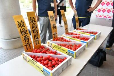 品評会写真2