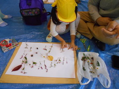 写真　森のようちえんの様子