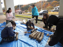 写真　シイタケ植菌の様子