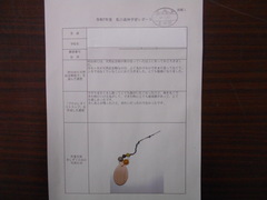 写真　私の森林学習レポート