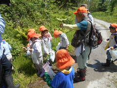 写真　森のようちえんの様子