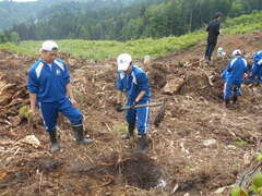 写真　植林体験の様子