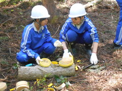 写真　コースター作りの様子