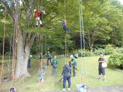 写真　ツリーイングの様子