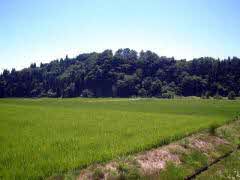 写真鬼甲城跡