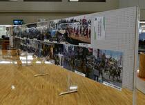 画像　市役所で写真展